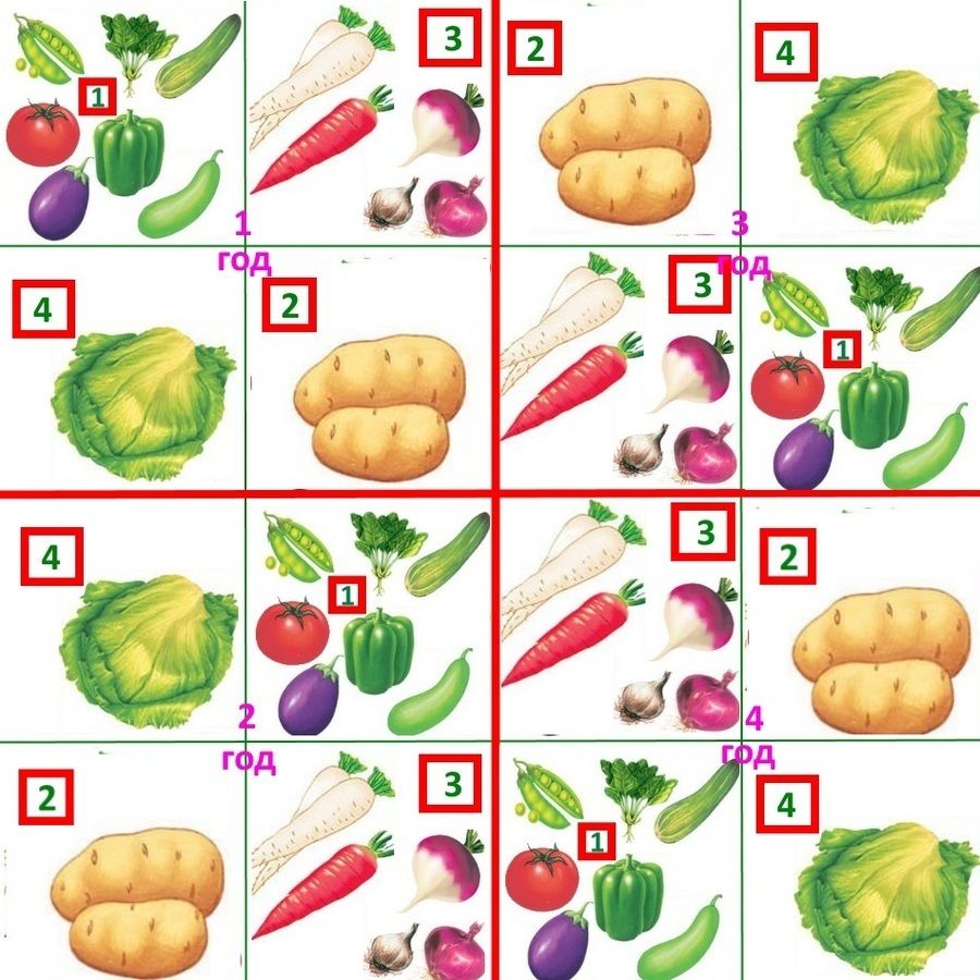 Лекция «Защита от болезней и вредителей. Биопрепараты. Севооборот. Совместные посадки»