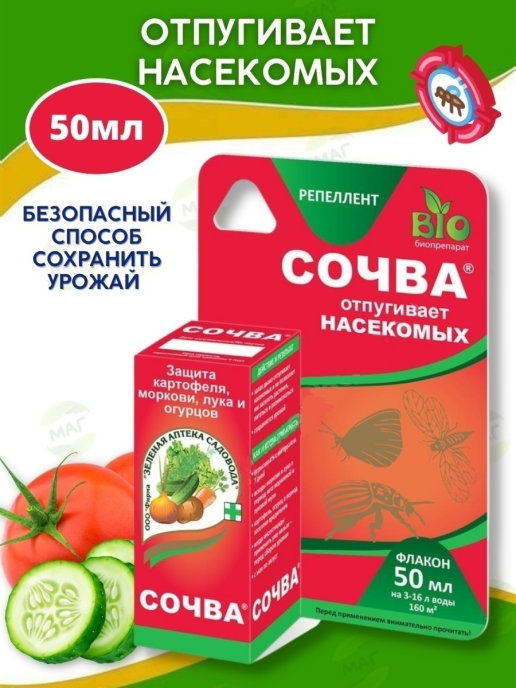 Сочва. Отпугивает насекомых