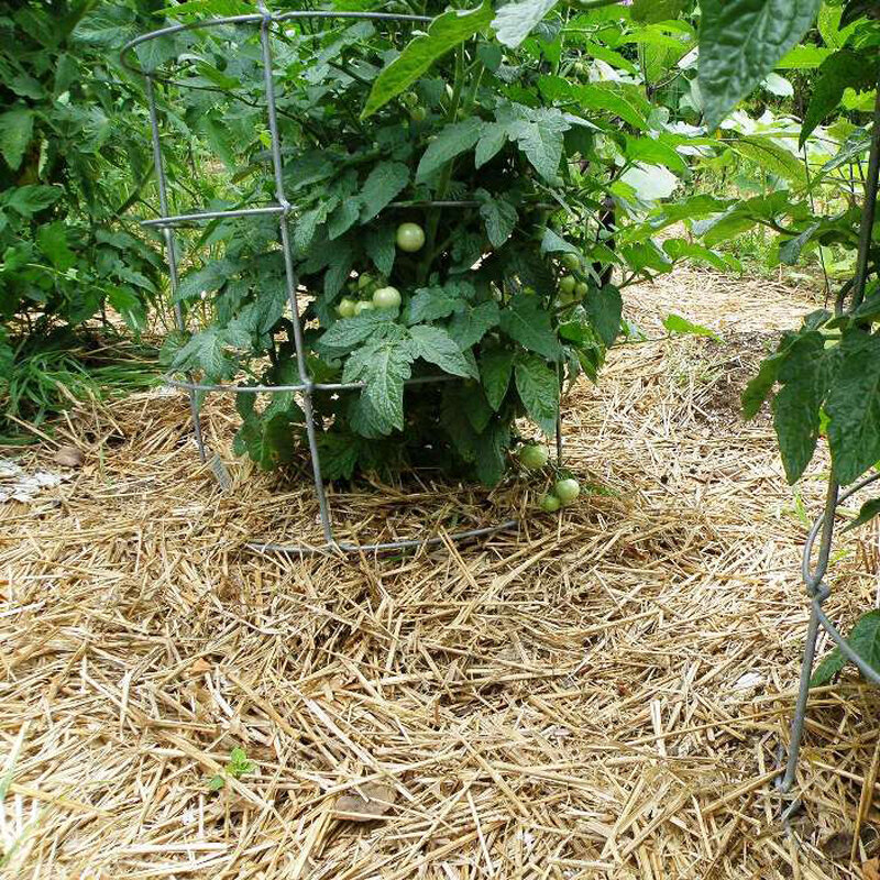 Лекция «Что делать чтобы не росли сорняки. Мульчирование. Как разработать целину»