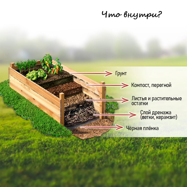 Лекция «Теплые грядки. Теплицы. Полив. Создаем нужные условия для выращивания растений»